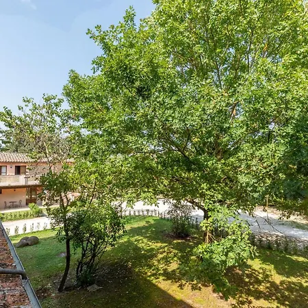 1 Bedroom Awesome In Apartment Montone (Umbria)